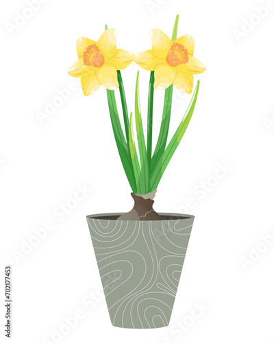 Daffodils in vase. Vector illustration in cartoon style