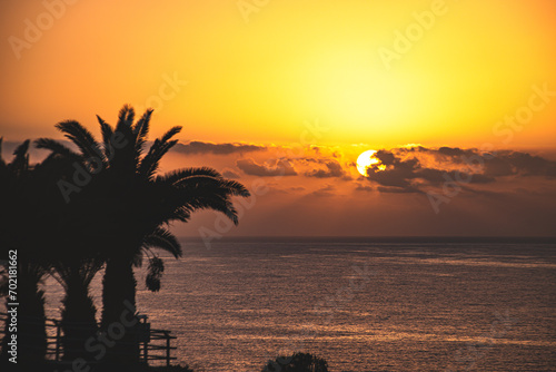 holidays vacation background palm trees