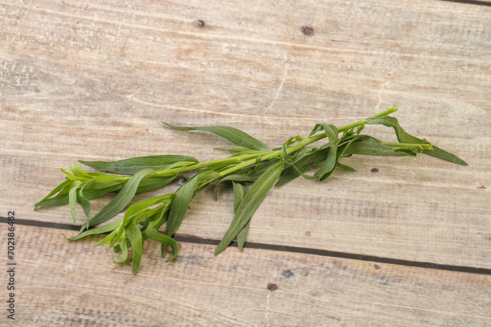 Green tarragon herb spice for cooking Green tarragon herb spice for cooking