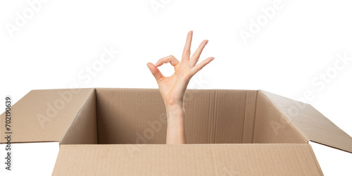 Hand showing ok sign out of the box. Carton box with approving hand gesture