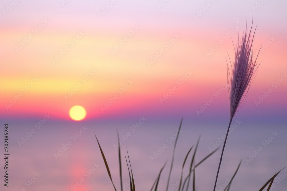 Stalks of small grass close-up in the background of sunset over a calm sea, sun setting over the horizon