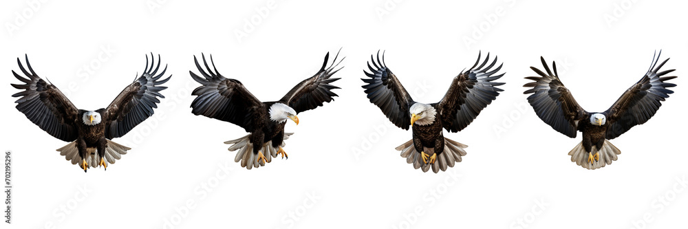 Fototapeta premium A set of single American Eagle is flying isolated on a transparent background in the top view. PNG