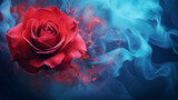 Red rose on blue smoke background