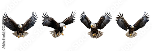 A set of single American Eagle is flying isolated on a transparent background in the top view. PNG
