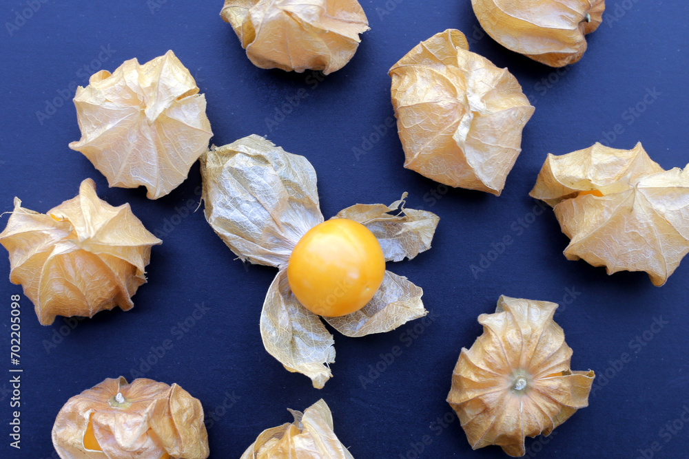 Fresh cape gooseberry. Delicious tropical fruit Fresh cape gooseberry. Delicious tropical fruit