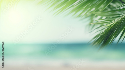 A tranquil beach scene viewed through the refreshing green fronds of palm leaves on a sunny day.