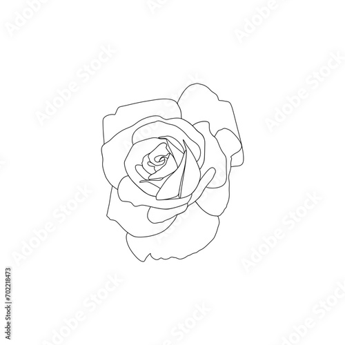 neatness in drawing flowers with vectors