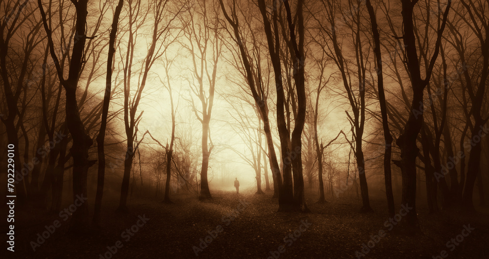 surreal autumn sunset in dark scary forest with man silhouette