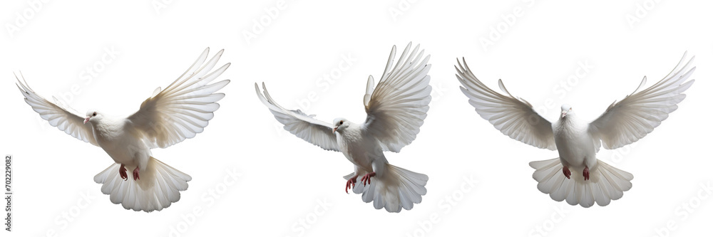 Fototapeta premium A set of single white color doves flying on a transparent background in the top view. PNG