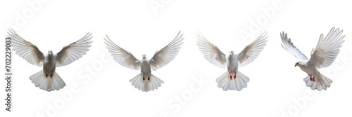 A set of single white color doves flying on a transparent background in the top view. PNG