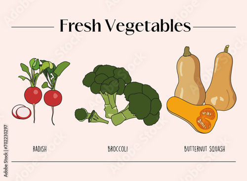 set of fresh vegetables