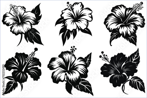 Black silhouettes of tropical hibiscus flowers isolated on a white background, Hibiscus flower silhouettes icon set