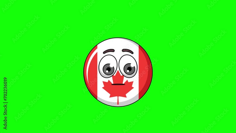 flag of canada character with a raised eyebrow, skeptic's face flag of canada character with a raised eyebrow, skeptic's face