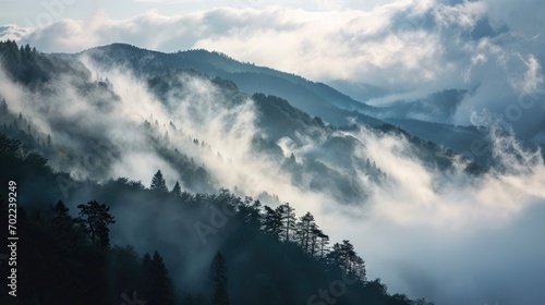 A Mountain Covered in Fog With Trees in the Foreground