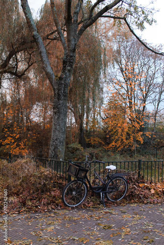 bicycle in autumn park