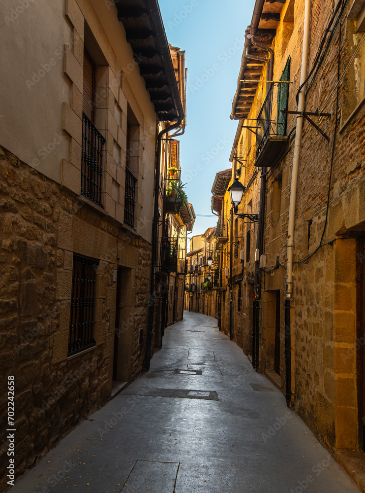 Fototapeta premium Typology of houses in Laguardia, Álava, Spain.
