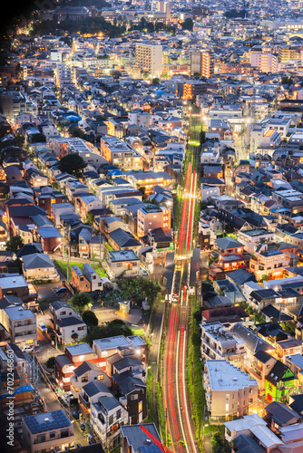 Tokyo, Japan cityscape over the Setagaya