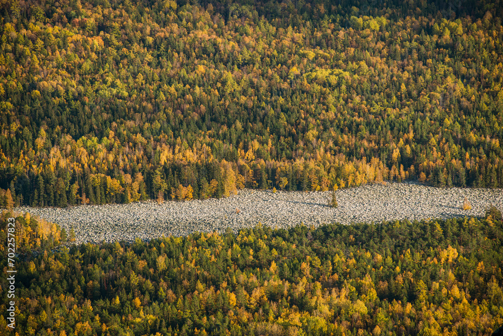 Obraz premium colorful autumn mixed forest in the mountains