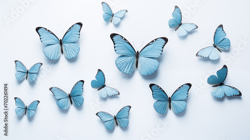 blue butterflyes pattern  isolated on white background photo
