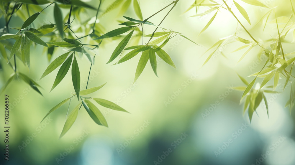 Green bamboo and leaves. background bamboo, growing.nature.