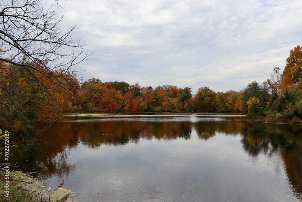 Fototapeta premium The calm lake in the park on a cloudy autumn day.