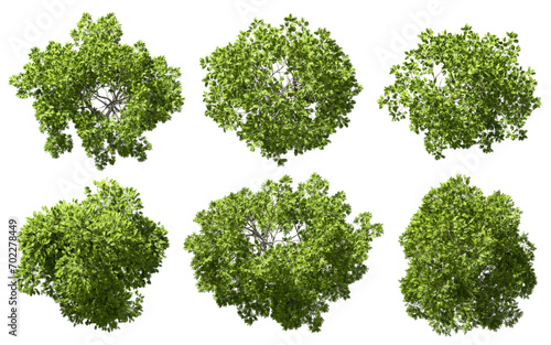 Topview outside greenery trees landscape cut out transparent backgrounds 3d render png file