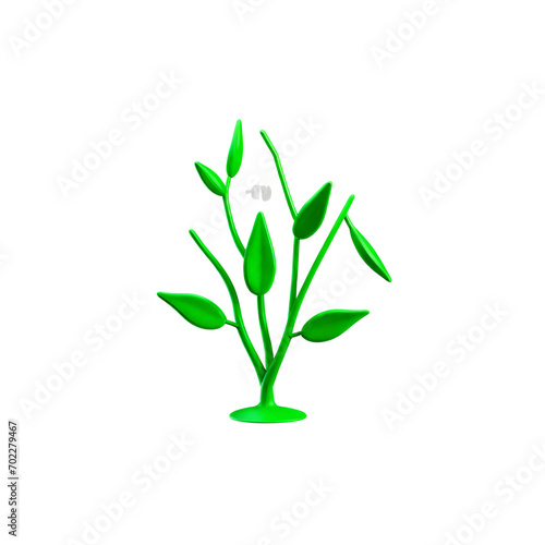 plant isolated on white background