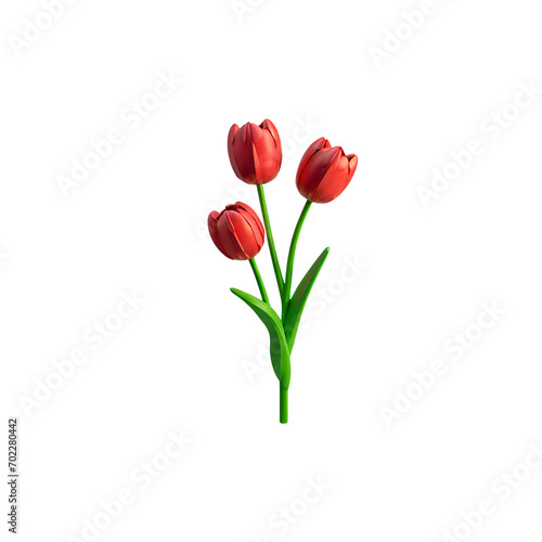 red tulips isolated on white