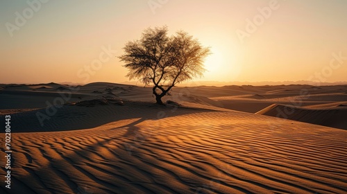 A solitary tree standing tall in a vast desert, casting a long shadow as the sun sets behind the endless dunes, creating a landscape of solitude and beauty.