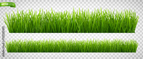 Vector realistic illustration of grass borders on a transparent background.
