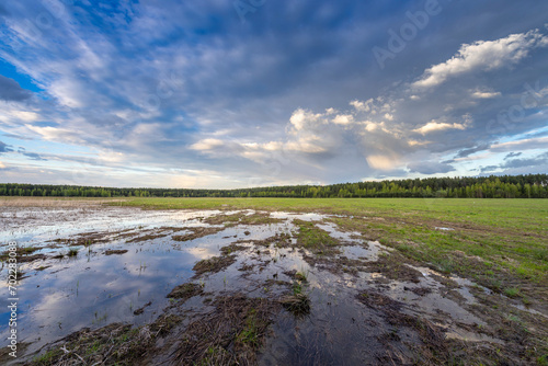 A field after a flood, a large puddle in which clouds are reflected, Evening landscape on a flooded meadow.