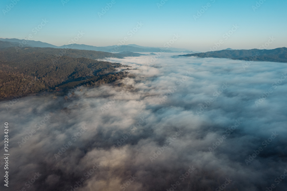 Morning fog in the forest before spring