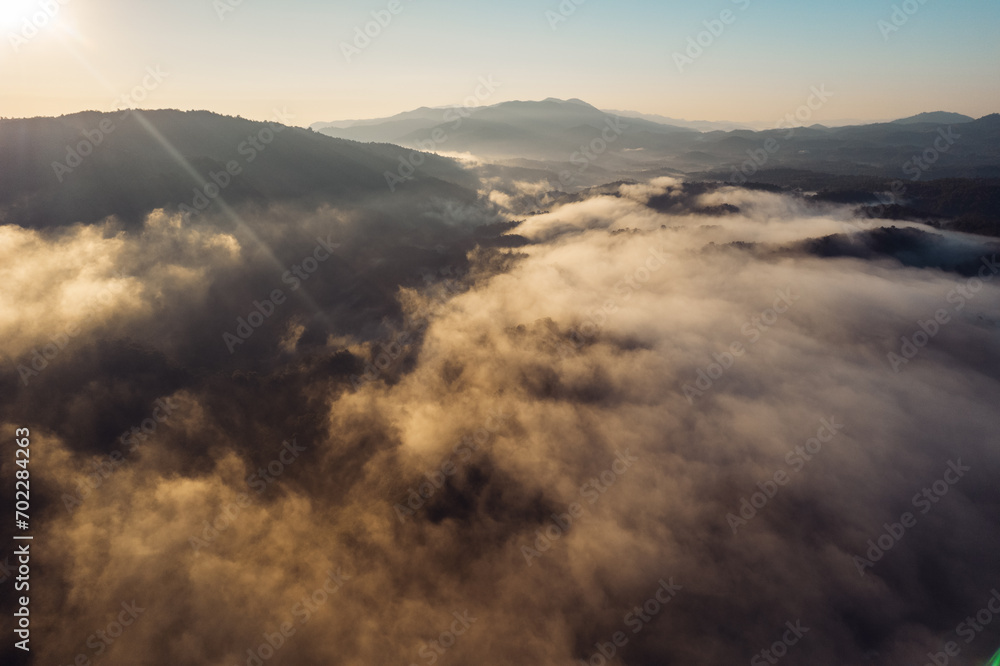 Morning fog in the forest before spring