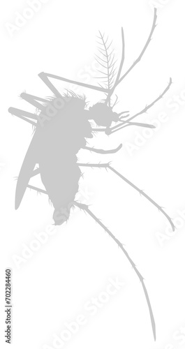 Mosquito Silhouette, can use for Art Illustration Pictogram, Website, and Graphic Design Element. Format PNG © Berkah Visual