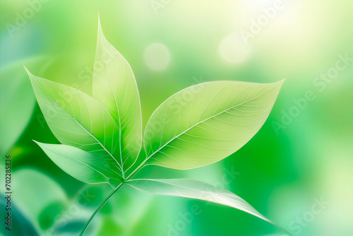 Beautiful nature of green leaf spring or summer.