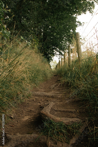 Fototapeta Naklejka Na Ścianę i Meble -  A worn down dirt path going through Burrs Country Park in Bury, England.