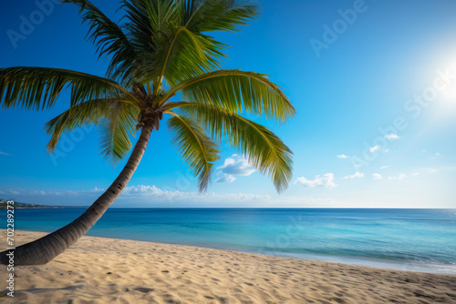 Sunset View with Palm Tree on Tranquil Beach.