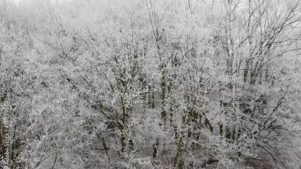 flying on a copter over the forest, branches in frost. flying on a copter over the forest, branches in frost.
