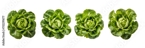 Set of Top view of Trocadero lettuce, isolated over on transparent white background. photo