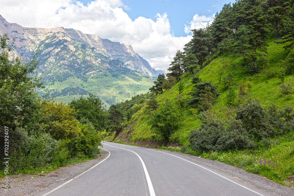 an empty road in a nature reserve with forest and mountains