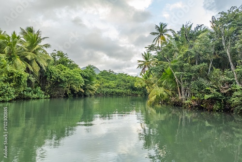 Amazing Indian river in Dominica near Roseau and Portsmouth, mangrove trees everywhere © SAndor