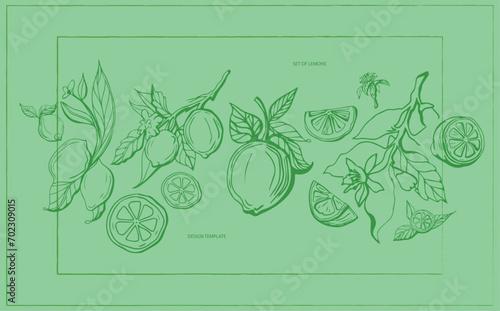 Hand drawn lemon set on yellow background. Outline whole citrus with peel and natural fruites into different pieces and circle slices,  branch of blossom and leaves. Vintage postcard with lemons.