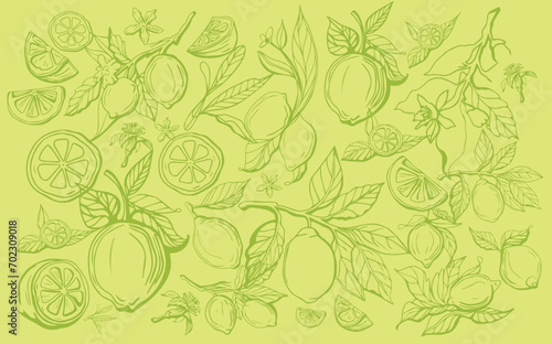 Fototapeta Naklejka Na Ścianę i Meble -  Hand drawn lemon set on yellow background. Outline whole citrus with peel and natural fruites into different pieces and circle slices,  branch of blossom and leaves. Vintage postcard with lemons.