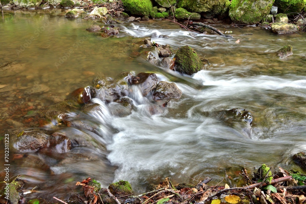 Splashes of a flowing stream in a green forest