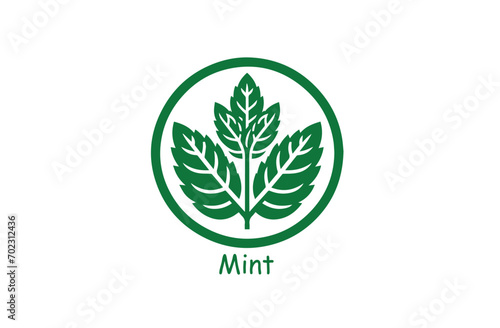 Fresh Mint Leaf Vector Illustration Icon