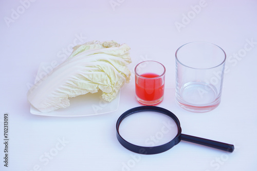 Equipment prepared for doing science experiment. Cabbage leaf, red color substance, glass and magnifying glass. Concept, science lesson activity. Easy experiment for learn 