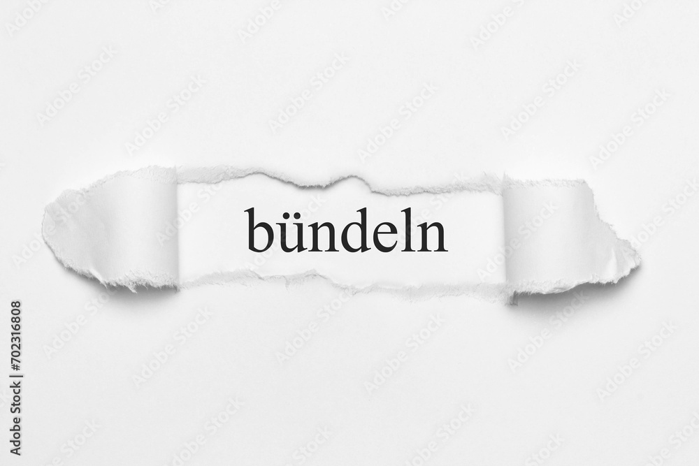 bündeln	
