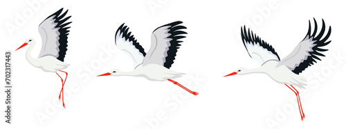 Set of beautiful stork birds in cartoon style. Vector illustration of migratory birds of white storks with red beak and legs, black feathers isolated on white background.