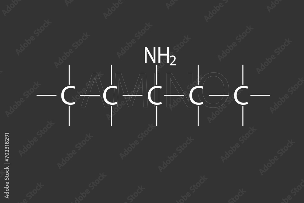 Amino molecular skeletal chemical formula Amino molecular skeletal chemical formula