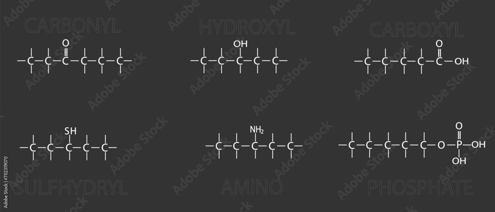 Functional groups of organic molecules. Skeletal chemical formula. Functional groups of organic molecules. Skeletal chemical formula.